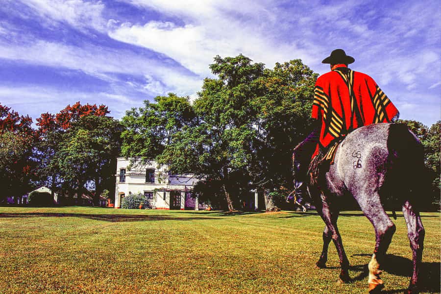 From Buenos Aires: Gaucho and Ranch Day Tour - Price and logistics: what your $168 buys you, and what it does not