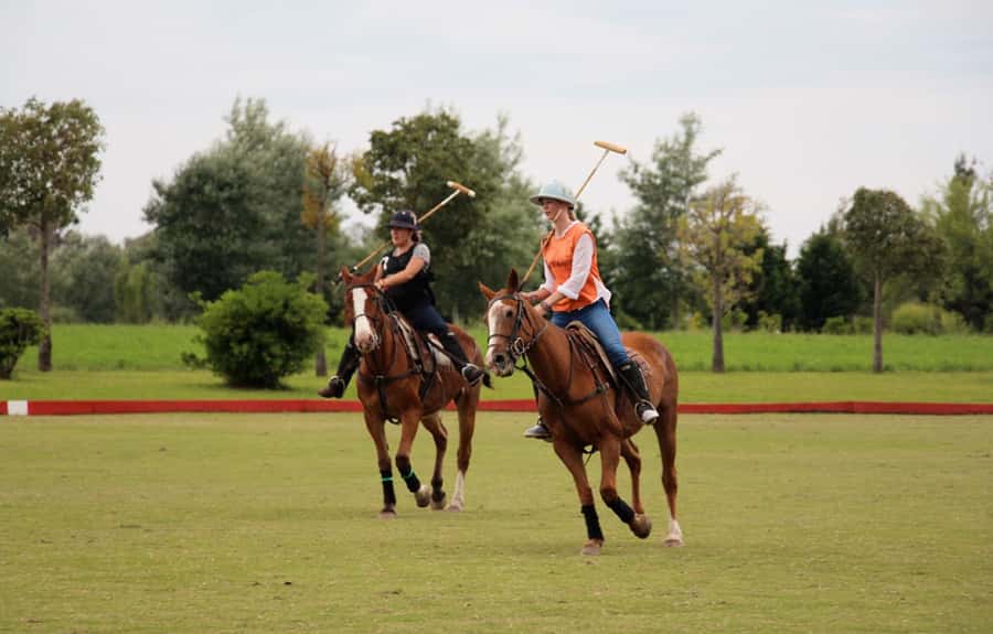 From Buenos Aires: Polo Match, Lesson, and BBQ Day-Trip - From Buenos Aires to Pampas Polo, Without the Hassle