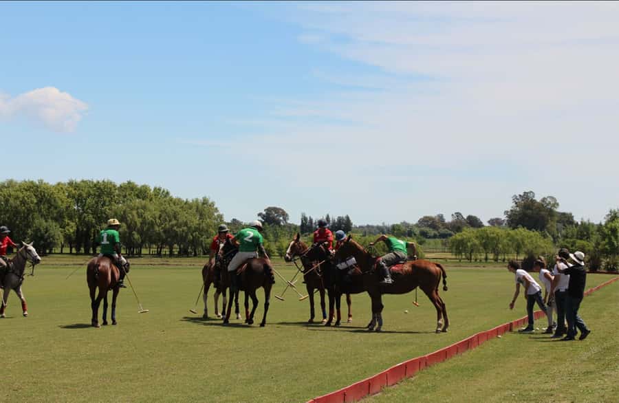 From Buenos Aires: Polo Match, Lesson, and BBQ Day-Trip - Watching the Pros: Chukkers, the Pony Line, and Real Adrenaline