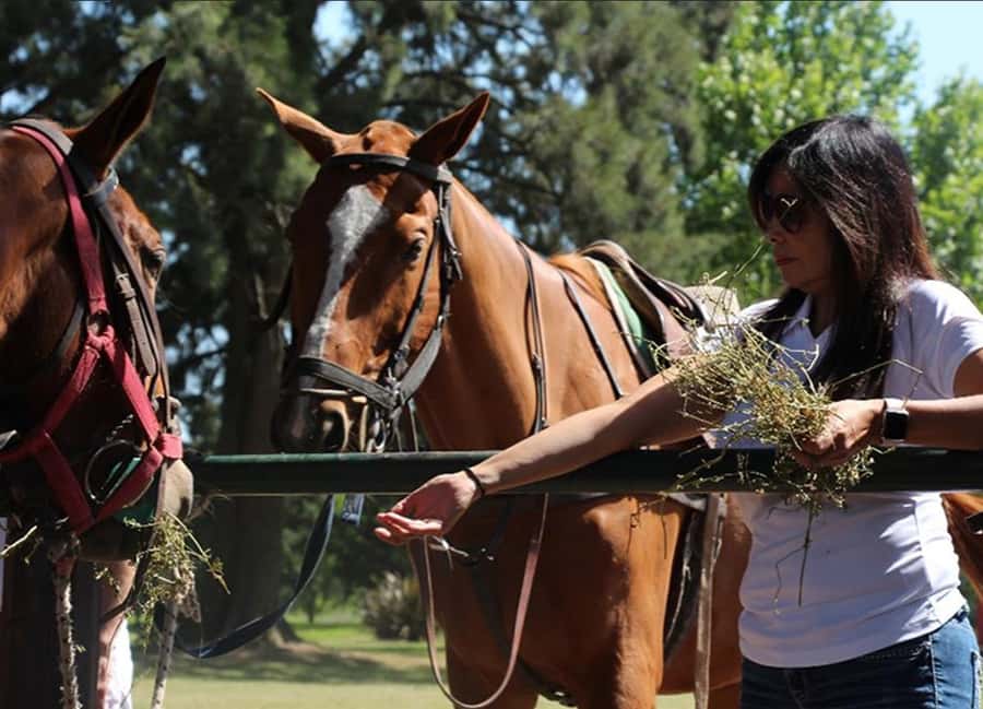 From Buenos Aires: Polo Match, Lesson, and BBQ Day-Trip - Arriving at the Estancia: Empanadas, Wine, and a Quick Polo Orientation