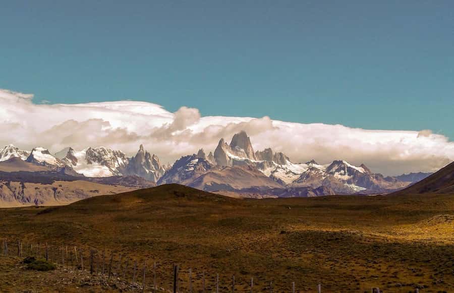 From El Calafate: El Chalten Full-Day Tour and Short Hike - Mirador de los Cóndores: A Short Walk With Big Wildlife Energy