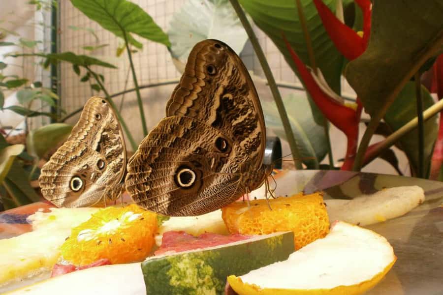 From Iguazú: Explore natural diversity at the Biocenter - Entering the Iguazú Biocenter loop in Puerto Iguazú
