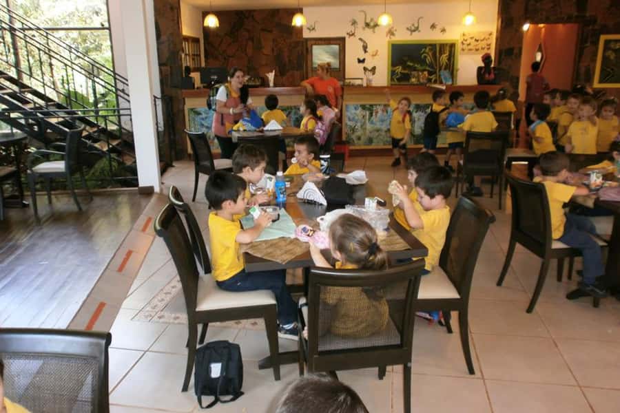 From Iguazú: Explore natural diversity at the Biocenter - The butterfly house, your best chance for close-up moments