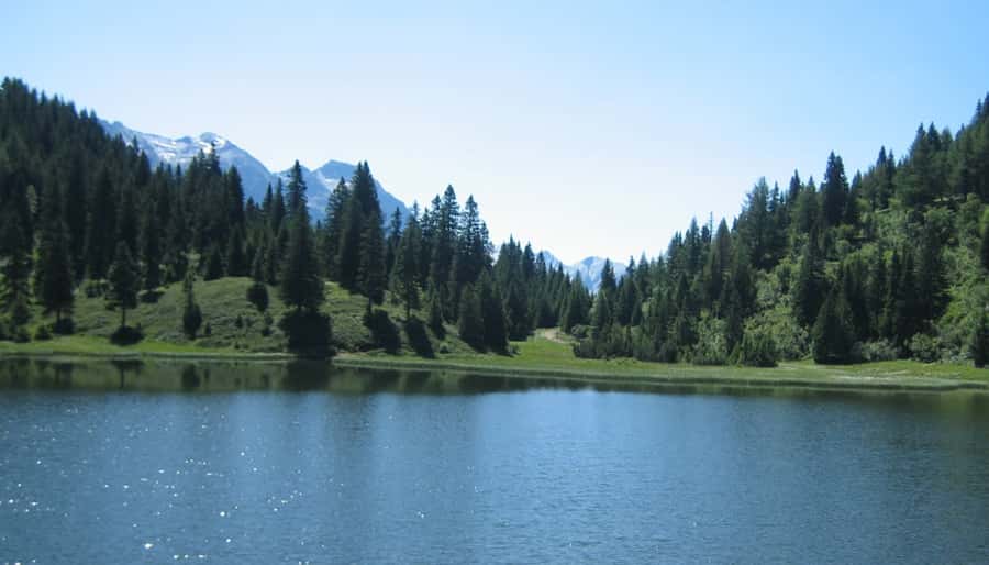 From Jujuy: Yala and Termas de Reyes Half-Day Tour - Crossing into Potreros de Yala Provincial Park and the Yungas forest feel