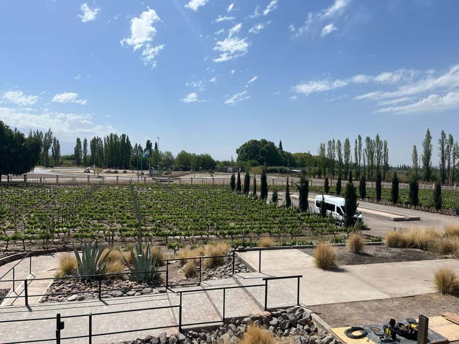 From Mendoza: 3 Wineries, Olive Oil Factory Tour & Tasting - Pickup in Mendoza City: the part you should time yourself for