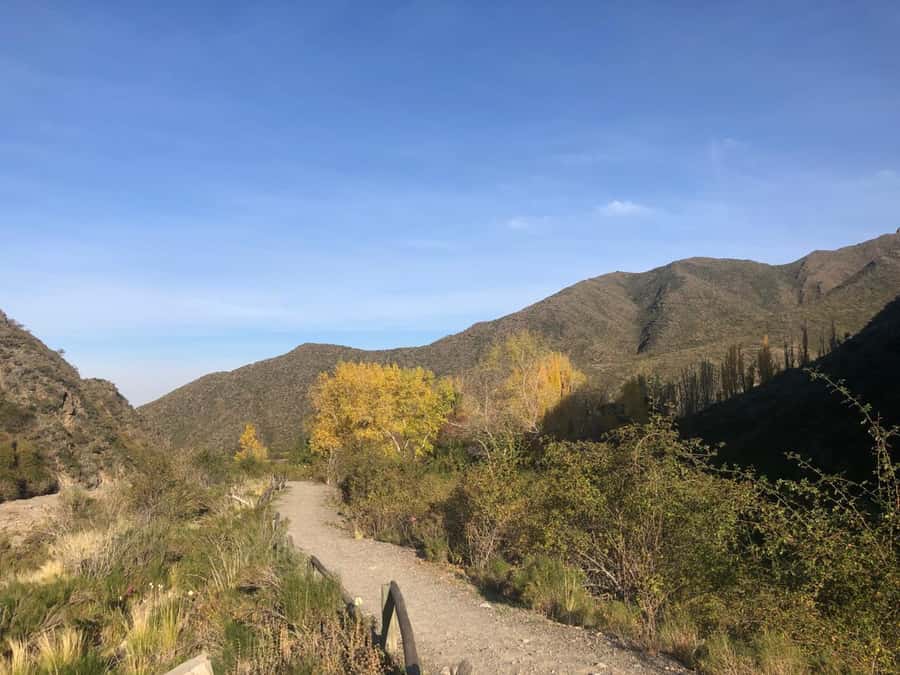 From Mendoza: Andes High Mountain Full-Day Tour - Key highlights worth your attention