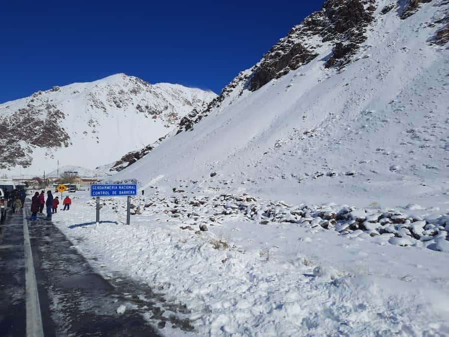 From Mendoza: Andes High Mountain Full-Day Tour - Potrerillos Dam: the first serious Andean payoff