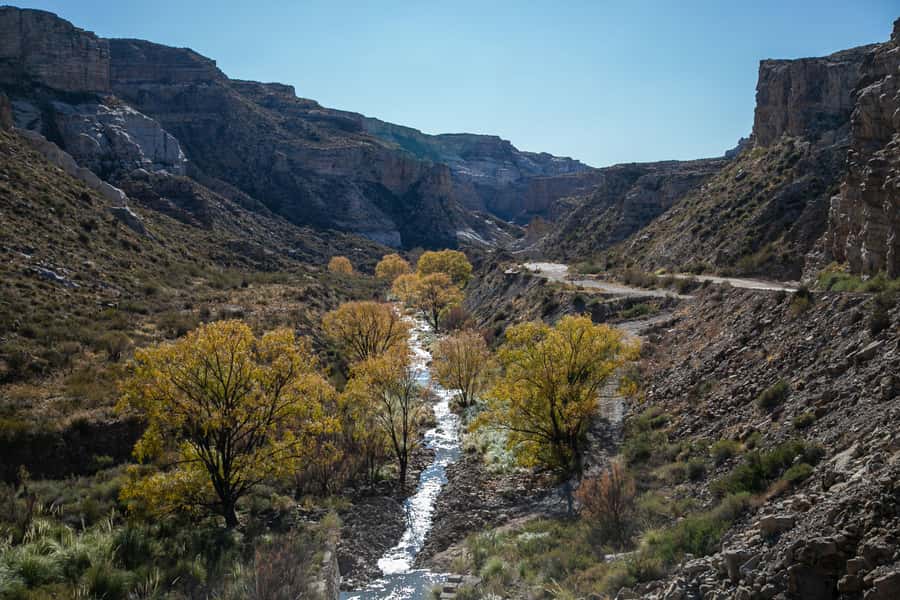 From Mendoza: Atuel Canyon Day Trip - Group size, language, and pacing: the real-world tradeoffs