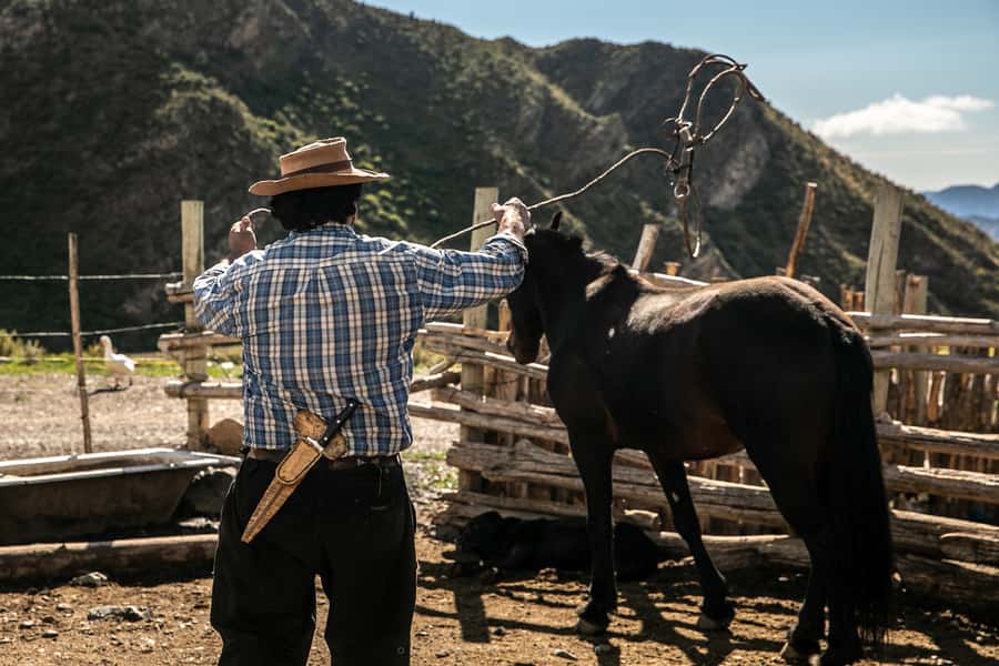 From Mendoza: Full Day Gaucho Experience - Weather, health, and suitability: who should book, and who should pass