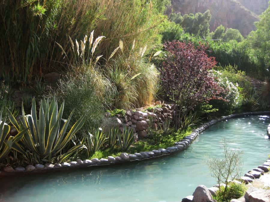 From Mendoza: Premium Spa Day at the Cacheuta Hot Springs - Buffet lunch at the park: good food, and it is part of the value