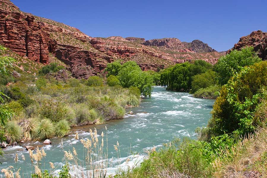 From Mendoza: San Rafael Sightseeing and Atuel Canyon Tour - First Stop: San Rafael, the oasis city with a modern pulse