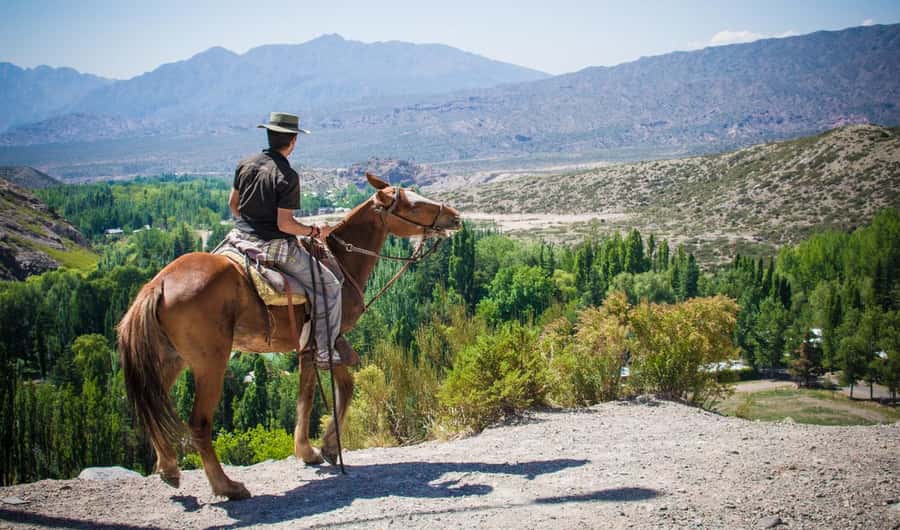 From Mendoza: Sunset Horseback Ride and Asado in the Andes - Quick hits: Mendoza Andes sunset, horses, and asado