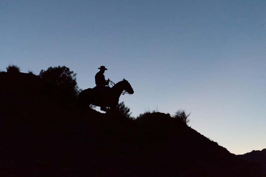 From Mendoza: Sunset Horseback Ride and Asado in the Andes - Pickup and Transport: The Part That Can Trip You Up