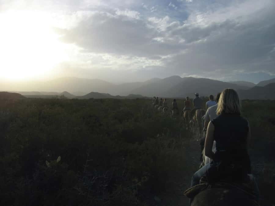 From Mendoza: Sunset Horseback Ride and Asado in the Andes - Who Should Book This Sunset Ride and Asado