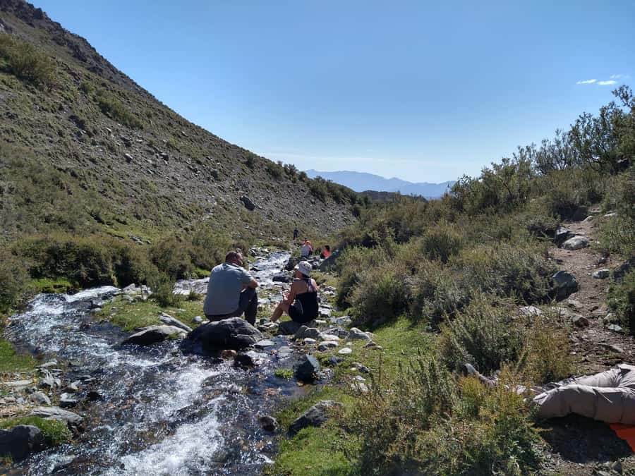 From Mendoza: Trekking and Barbecue in the Andes - Seeing Local Life Up Close: Livestock, Pace, and Wildlife