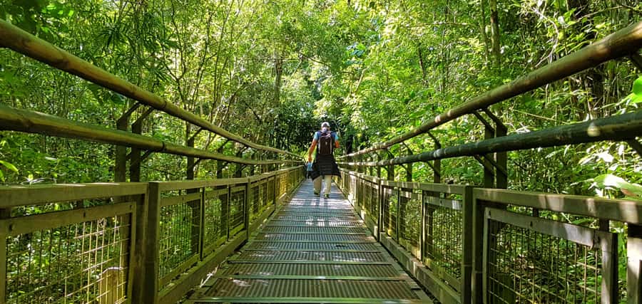 From Puerto Iguazu: Argentinian Iguazu Falls with Boat Ride - Group size and the value question: is $197 worth it?