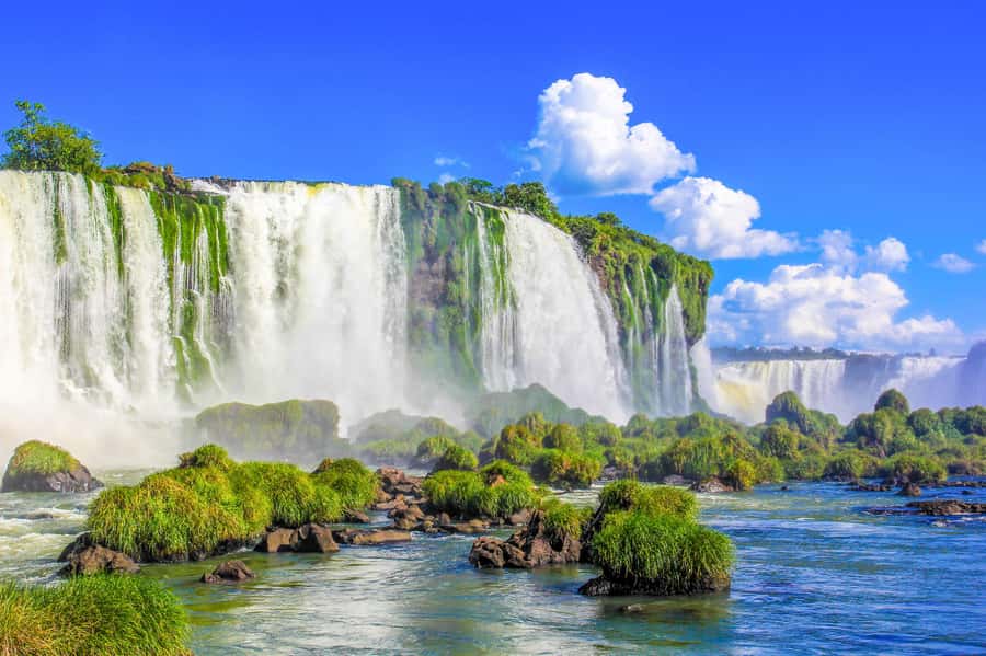 From Puerto Iguazu: Argentinian Iguazu Falls with Ticket - The gas-powered train that decides your day