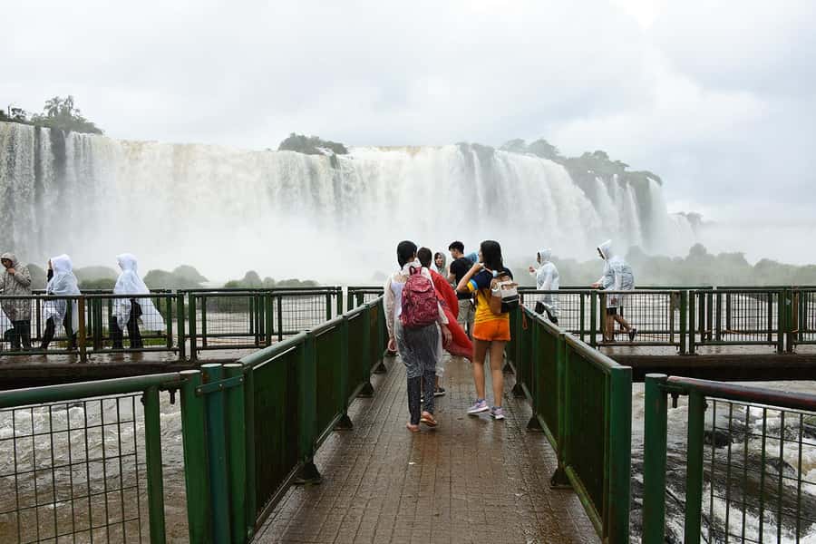 From Puerto Iguazu: Half-Day Brazilian Falls Excursion - Jungle Trails and Wildlife Time Without Exhaustion
