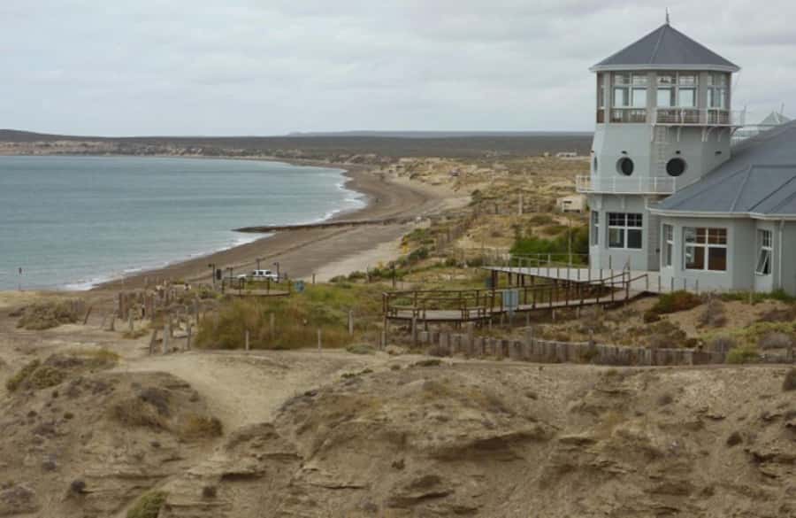 From Puerto Madryn: City and Punta Loma Tour - How the 2-hour route works, and why it makes sense