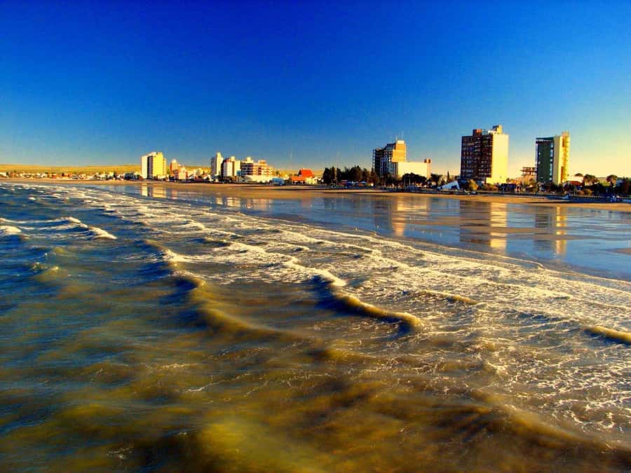 From Puerto Madryn: City and Punta Loma Tour - Guide impact: Guille, Nacho, and bilingual explanations that help