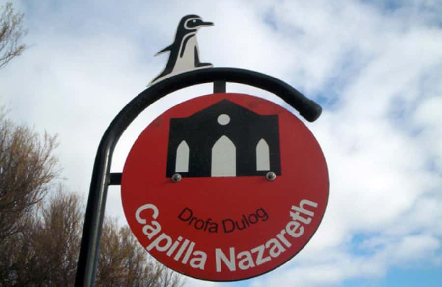 From Puerto Madryn: City and Punta Loma Tour - Price and value: is $196 per person worth it?
