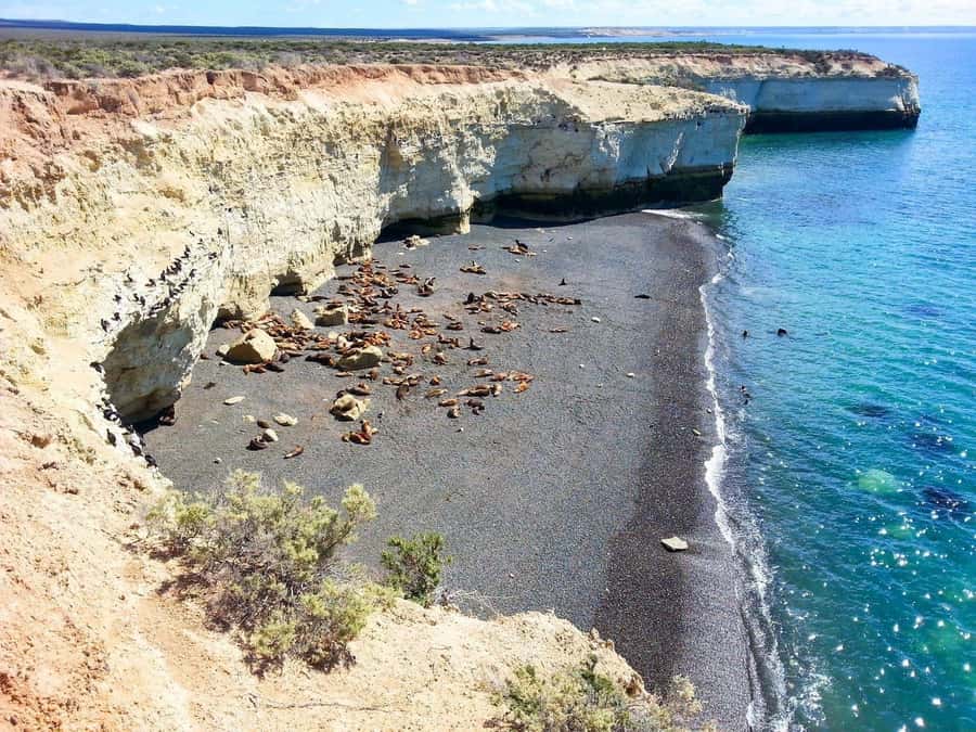 From Puerto Madryn: City and Punta Loma Tour - Who this tour suits best