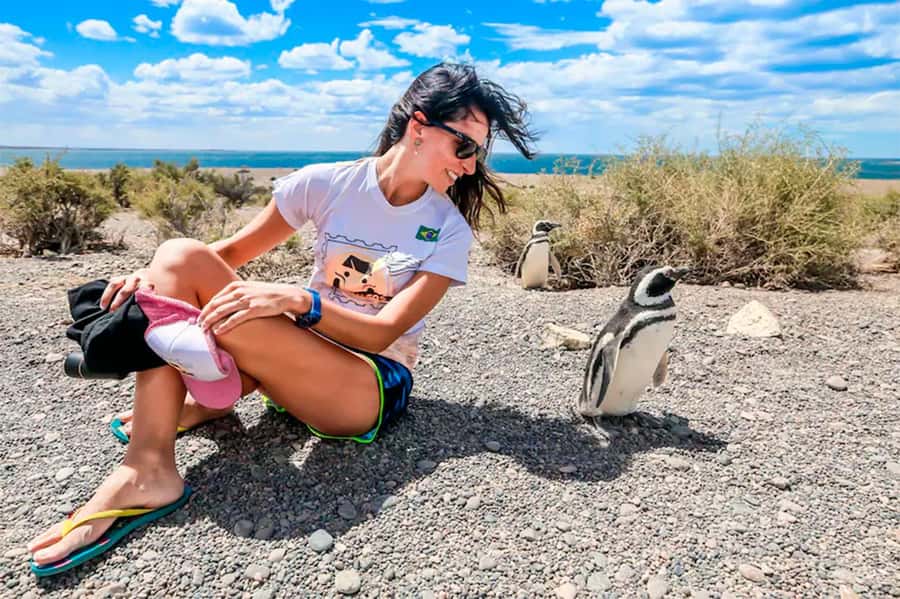From Puerto Madryn: Full Day Excursion to Punta Tombo - Key takeaways before you go