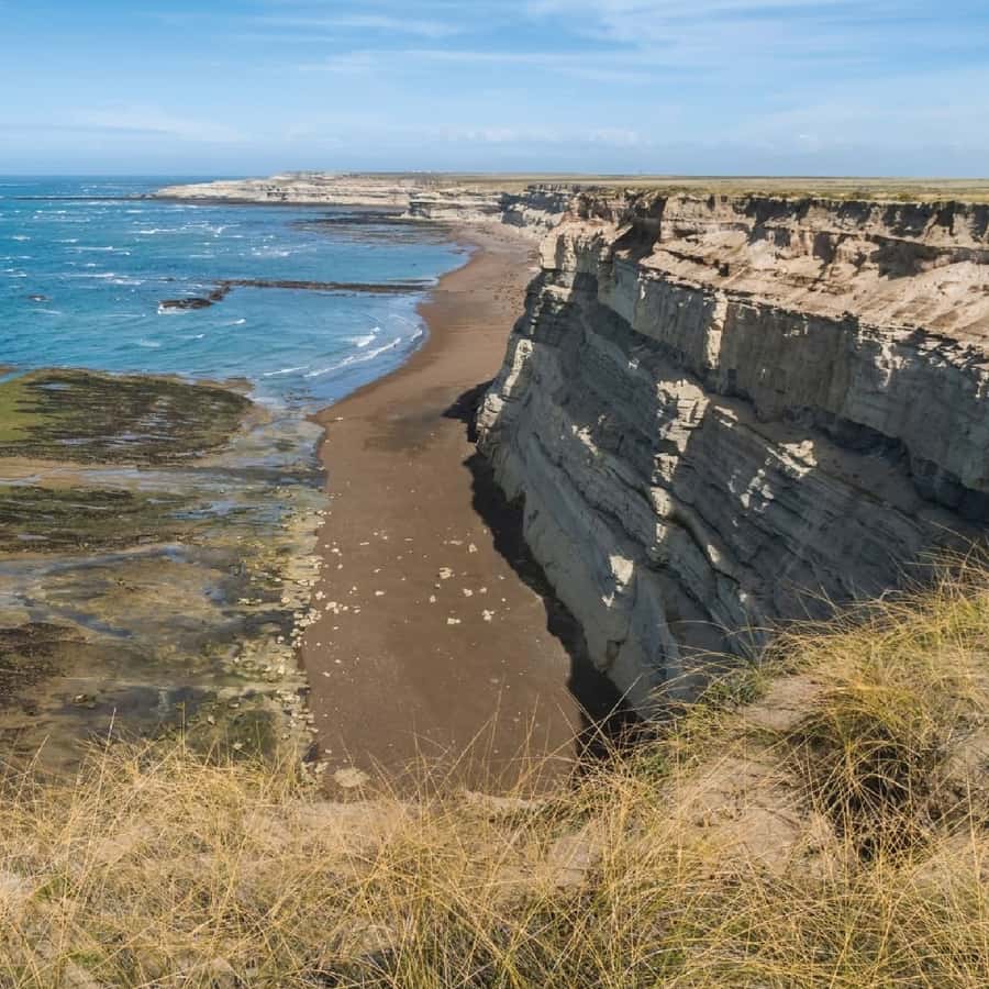 From Puerto Madryn: Peninsula Valdés Shore Excursion - How the day flows from the Port of Puerto Madryn