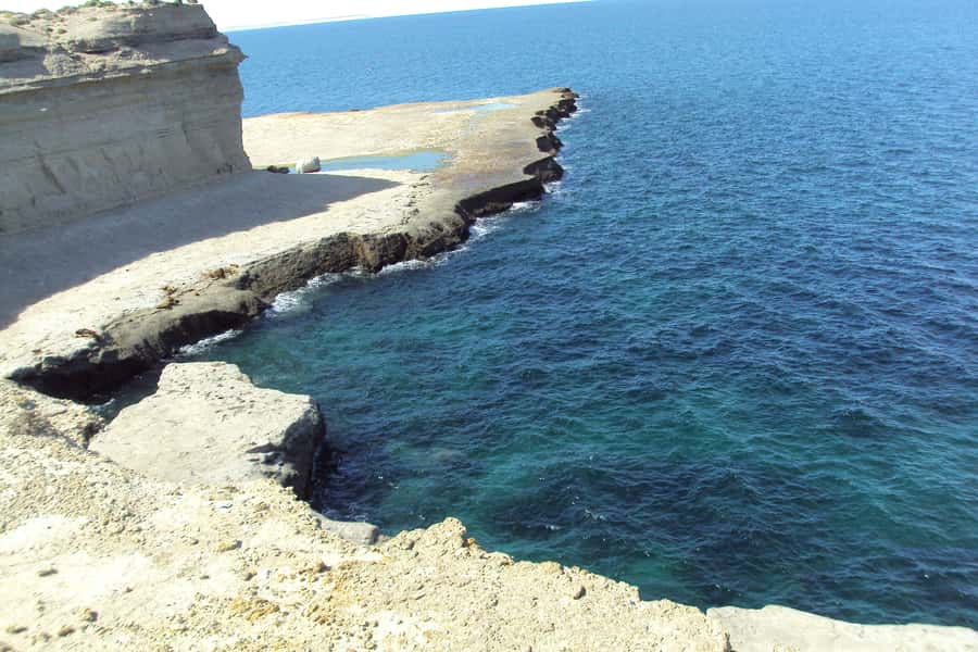 From Puerto Madryn: Valdes Peninsula Full-Day Tour - Puerto Piramides stop and the whale watching option