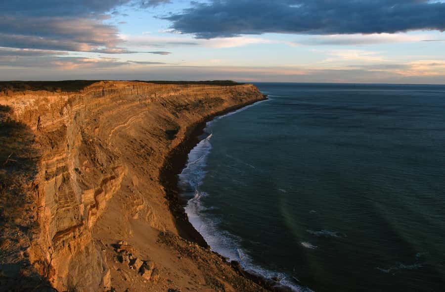 From Puerto Madryn: Valdes Peninsula Full-Day Tour - The morning start: Carlos Ameghino Isthmus and the big-picture lesson