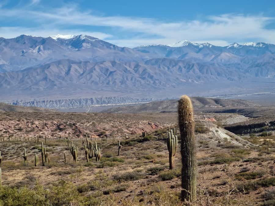 From Salta: 2-Day Guided Trip to Cafayate and Cachi - Why this Salta loop feels efficient