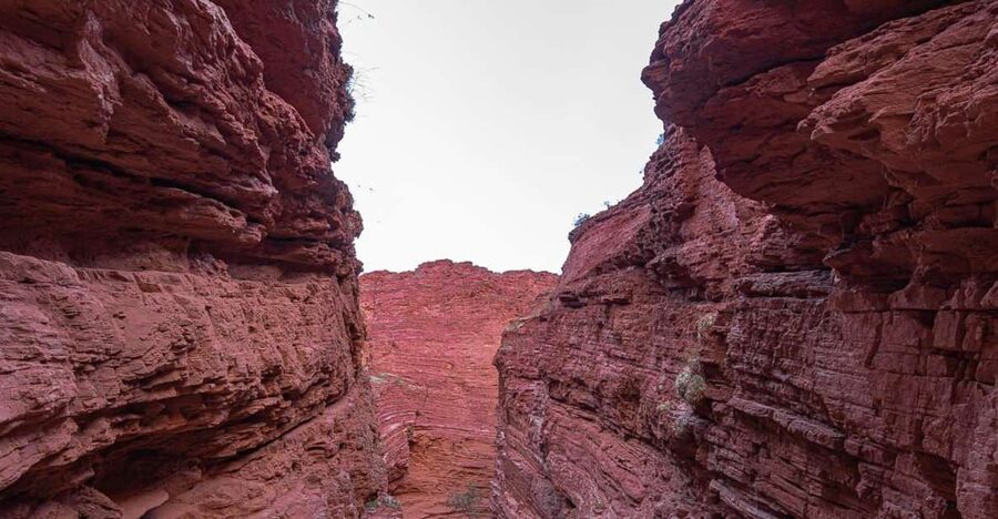 From Salta: 2 Day Guided Trip to Cafayate & Salinas Grandes - Salta Province in two days: what makes this trip work