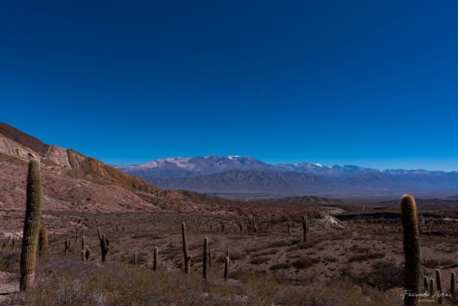 From Salta: 4-Day Trip in Salta Province & Salinas Grandes - Humahuaca and the Hill of Seven Colors, the second color hit