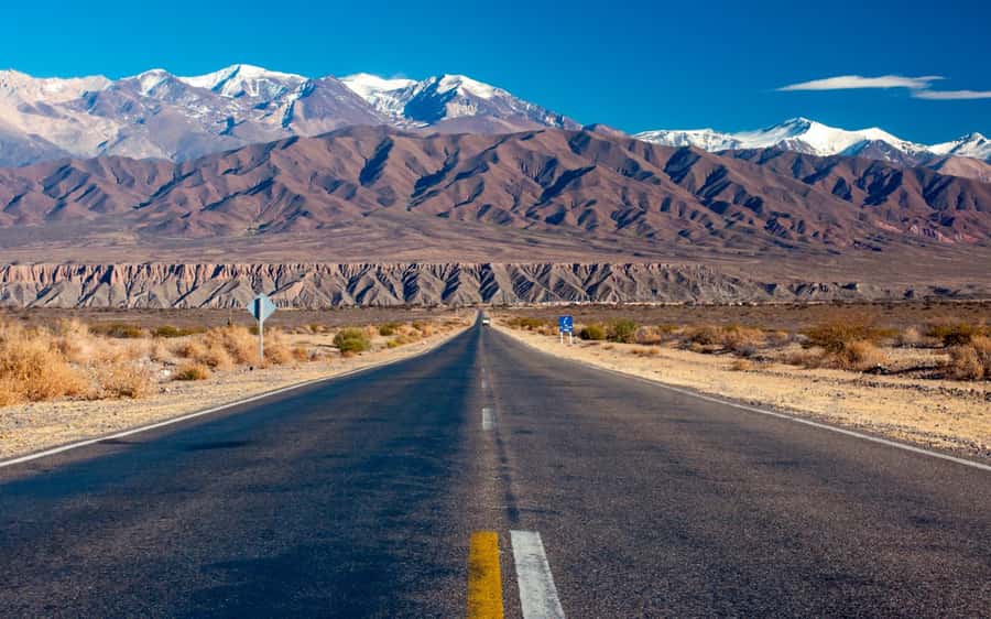 From Salta: Cachi and Los Cardones National Park Tour - Why this Salta day trip beats a simple quick stop