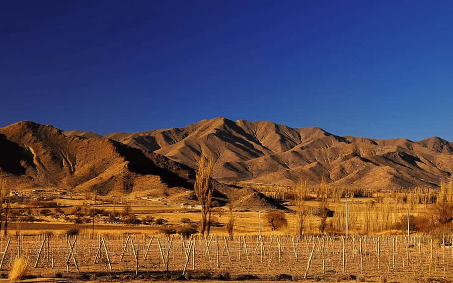 From Salta: Cachi and Los Cardones National Park Tour - Leaving Salta: Lerma Valley to high-desert terrain