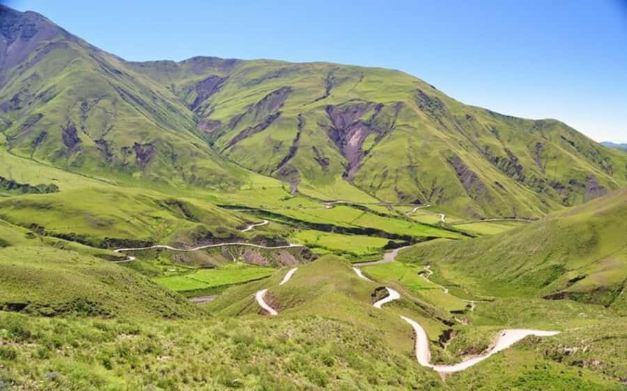 From Salta: Cachi and Los Cardones National Park Tour - Los Cardones National Park: what you came for