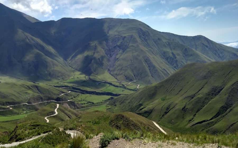 From Salta: Cachi and Los Cardones National Park Tour - Altitude and a long road day: how to make it comfortable