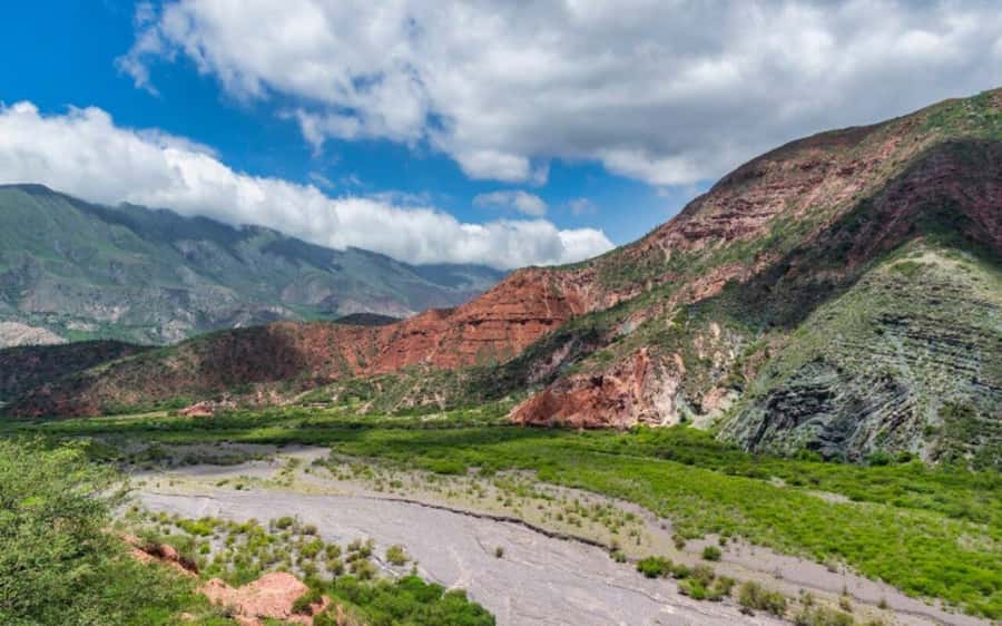 From Salta: Cachi and Los Cardones National Park Tour - Cuesta del Obispo: the viewpoint stop that sets the mood