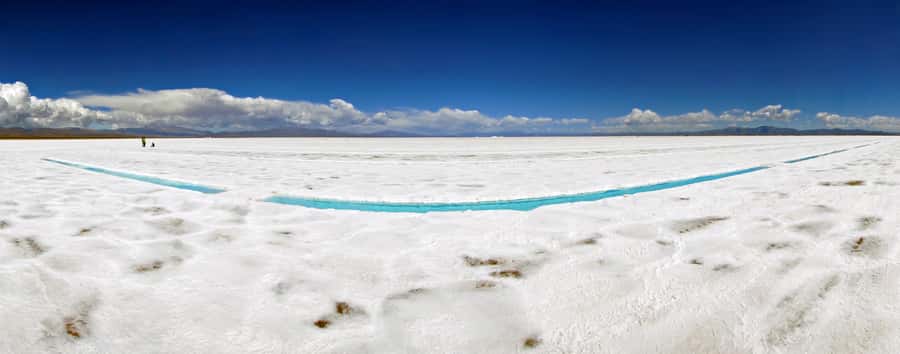 From Salta: Cachi and Salinas Grandes 2-Day Guided Trip - Los Cardones National Park: the cactus scale you can’t fake