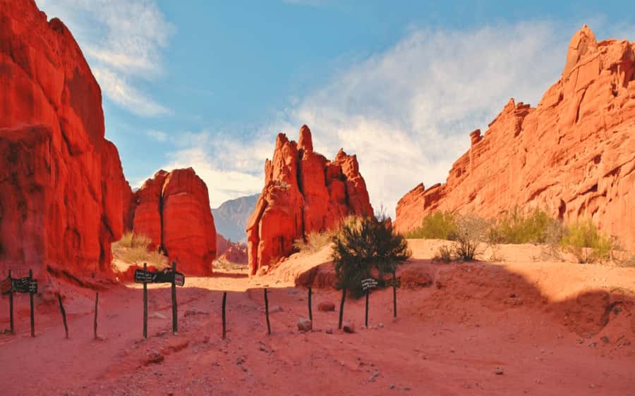 From Salta:Cafayate and the imposing Quebrada de las Conchas - Lerma Valley color and the gorge entrance: you start seeing the theme early