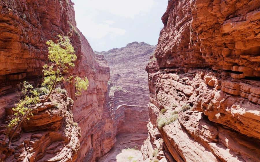From Salta:Cafayate and the imposing Quebrada de las Conchas - The quick-hit formation run: Windows, Castles, Yesera, Toad, Friar, Obelisk