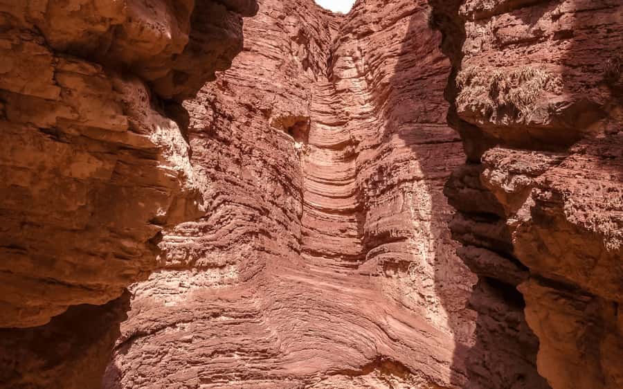 From Salta:Cafayate and the imposing Quebrada de las Conchas - El Sapo and the Las Conchas Natural Reserve feel: more than just a postcard