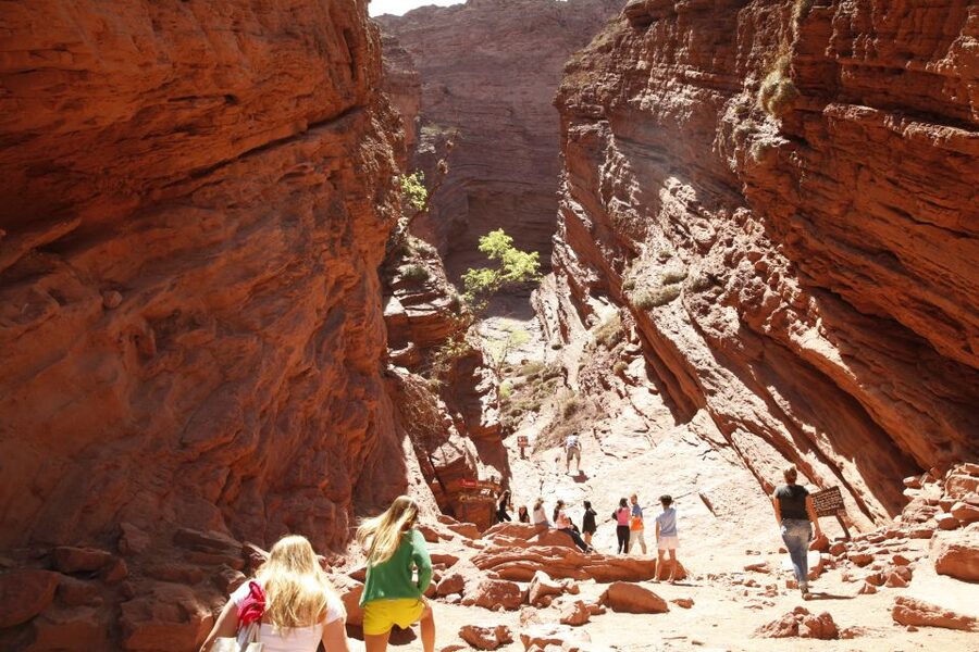 From Salta: Cafayate, Cachi, & Hornocal 3-Day Tour - Cafayate wine tasting, what you’ll get beyond the pour