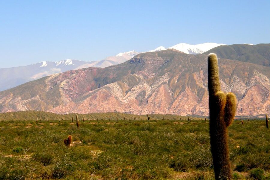 From Salta: Cafayate, Cachi, & Hornocal 3-Day Tour - Day 3: Route 9, Quebrada de Humahuaca, Purmamarca’s colors, and the Hornocal timing trick