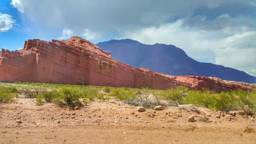 From Salta: Cafayate Day Trip with Wine Tasting - Cafayate Vineyard Tasting: Short, Focused, and Built for Torrontés Fans