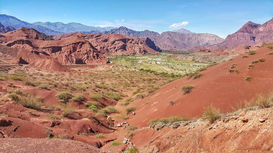 From Salta: Cafayate Day Trip with Wine Tasting - Logistics You Should Know Before You Go