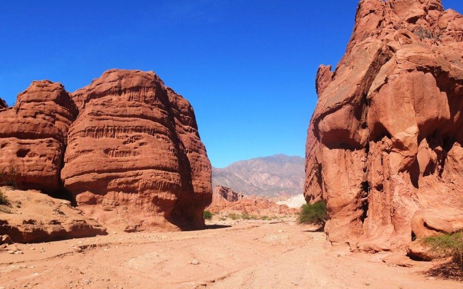 From Salta: Cafayate, land of wines and imposing ravines - Winery Stop in Cafayate: Short Tasting, Big Context