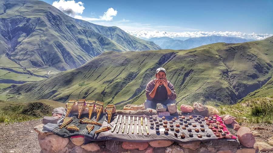 From Salta: Day Trip to Cachi and the Calchaquí Valleys - A full-day bus through the Calchaquí Valleys, what 12 hours is really like