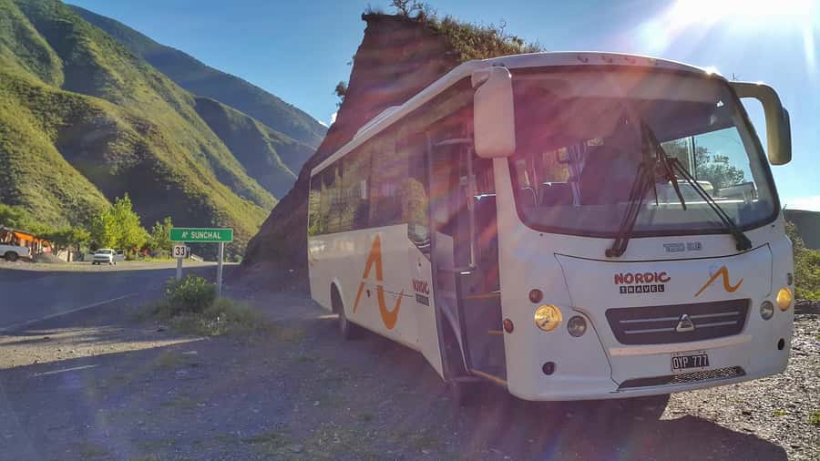 From Salta: Day Trip to Cachi and the Calchaquí Valleys - Walking in Los Cardones National Park: where the day becomes active