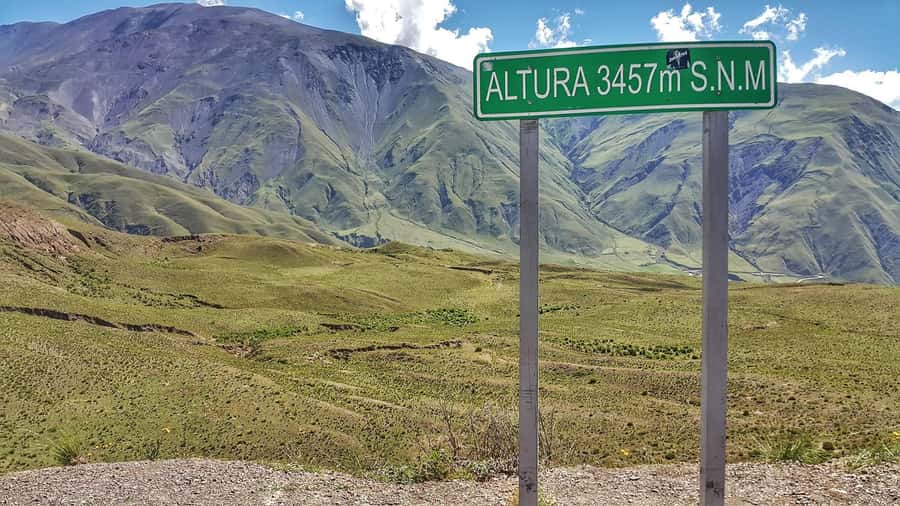 From Salta: Day Trip to Cachi and the Calchaquí Valleys - Price and value around $31, plus the meal reality